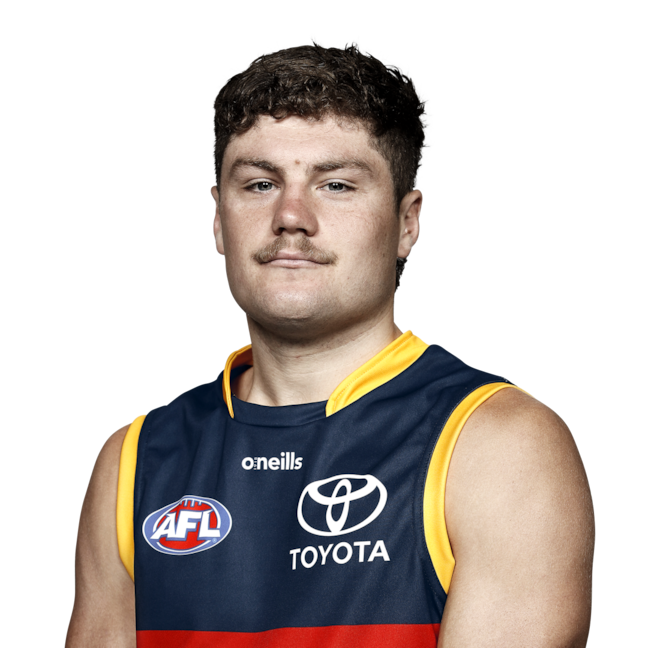 Harry Schoenberg profile picture
